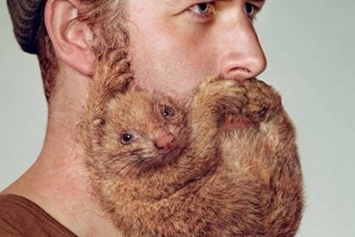 Những “chiêu trò” của các thương hiệu trong quảng cáo